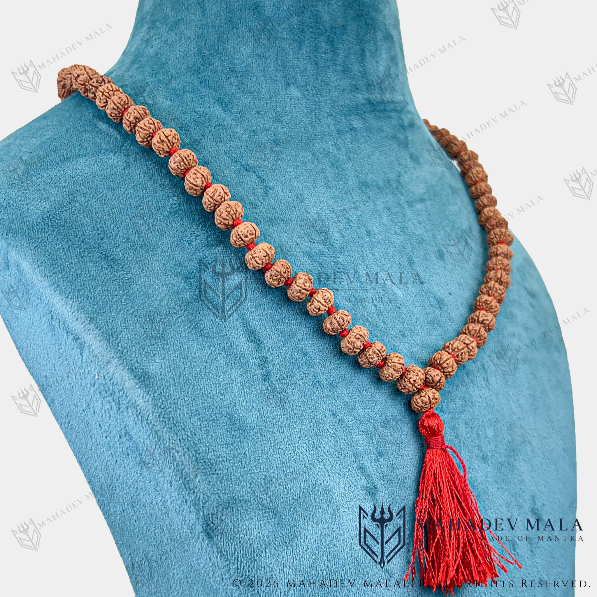 ndonesian 6 Mukhi Rudraksha Japa Mala displayed as a long necklace