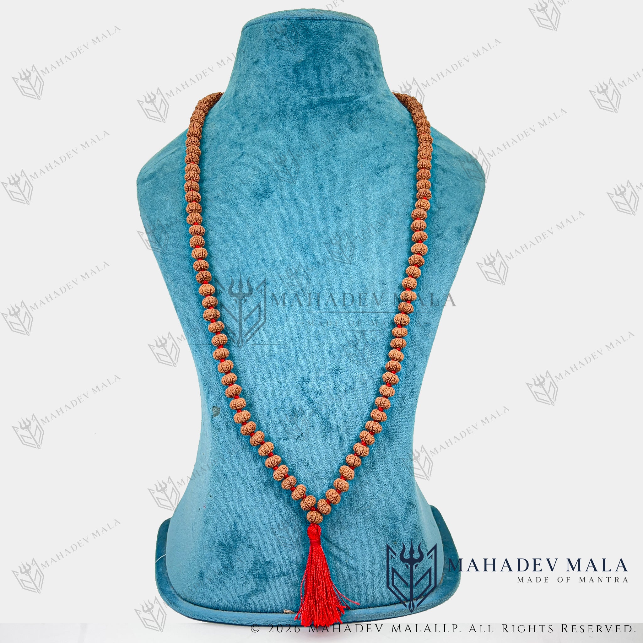 Full-length necklace view of Indonesian 6 Mukhi Rudraksha Japa Mala with red tassel