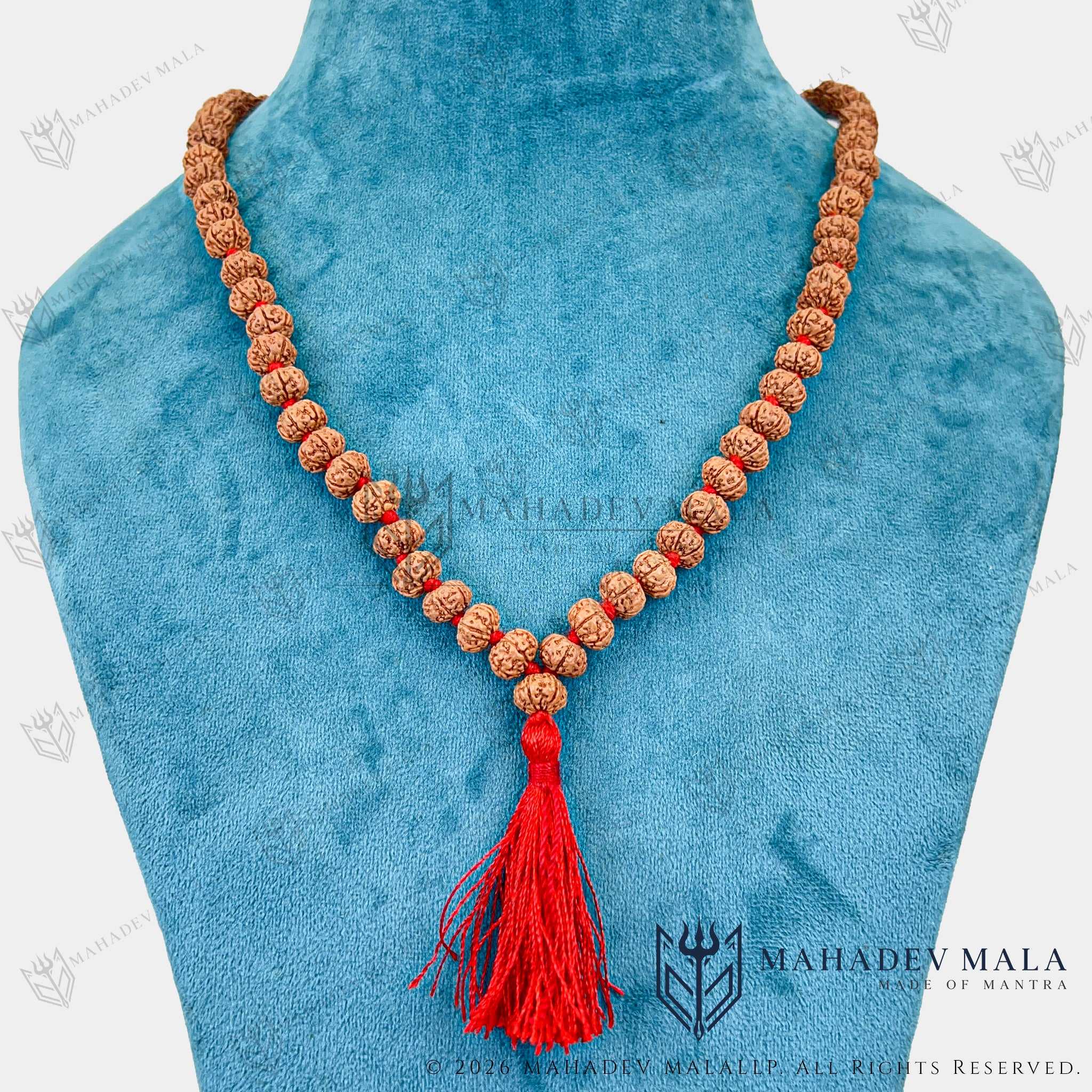 Alternate necklace display of Indonesian 6 Mukhi Rudraksha Japa Mala