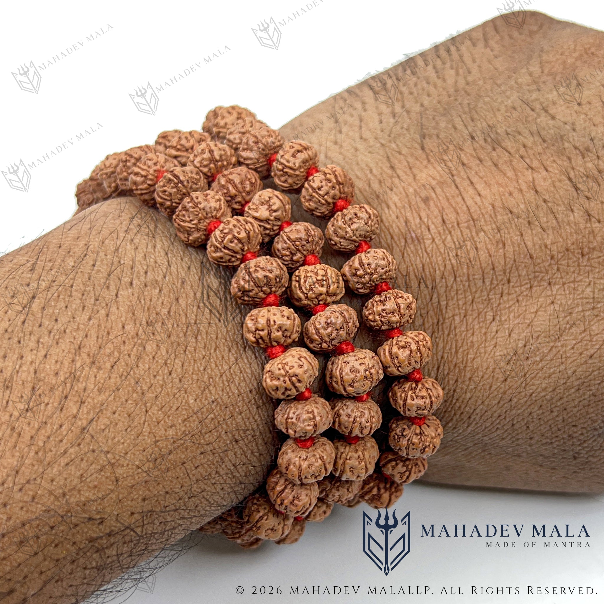 Indonesian 6 Mukhi Rudraksha Japa Mala wrapped around the wrist