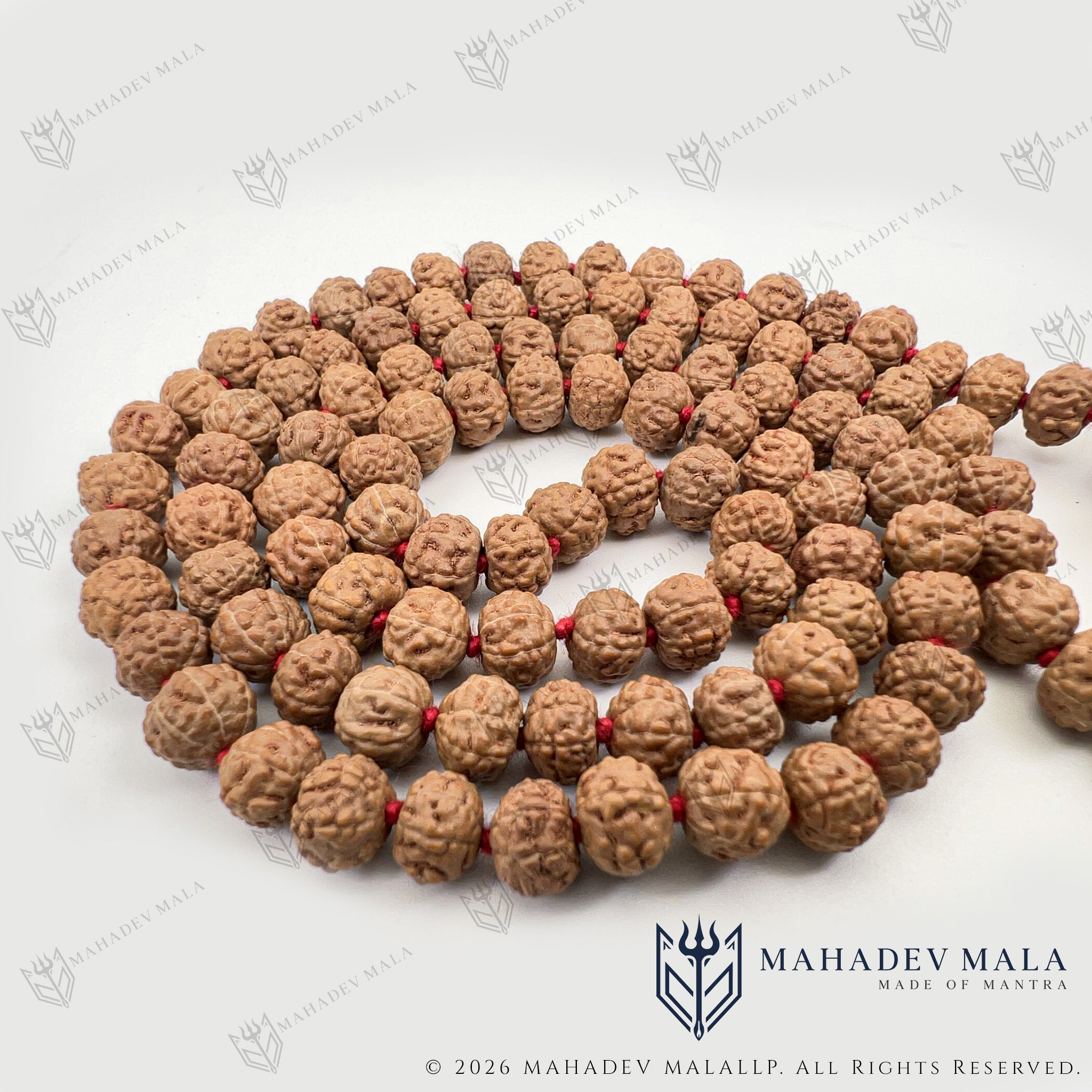 Close-up of Indonesian 7 Mukhi beads and premium Nepali Guru bead