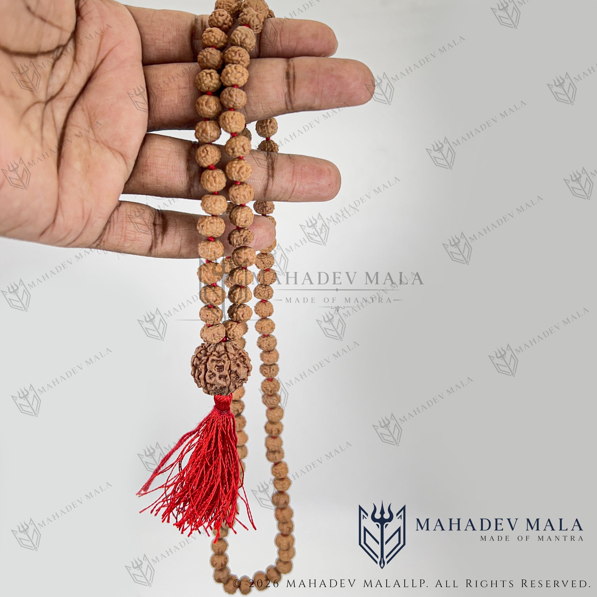7 Mukhi Rudraksha Japa Mala held to show its bead length