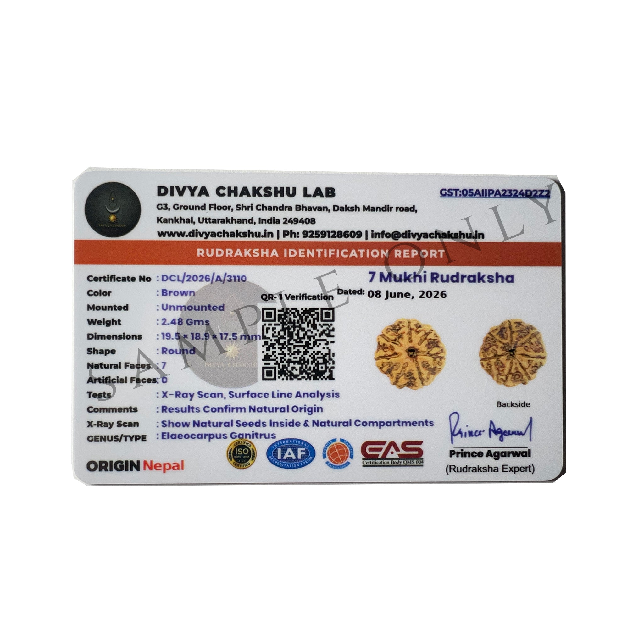 Lab certificate for natural Nepali 7 Mukhi Rudraksha bead