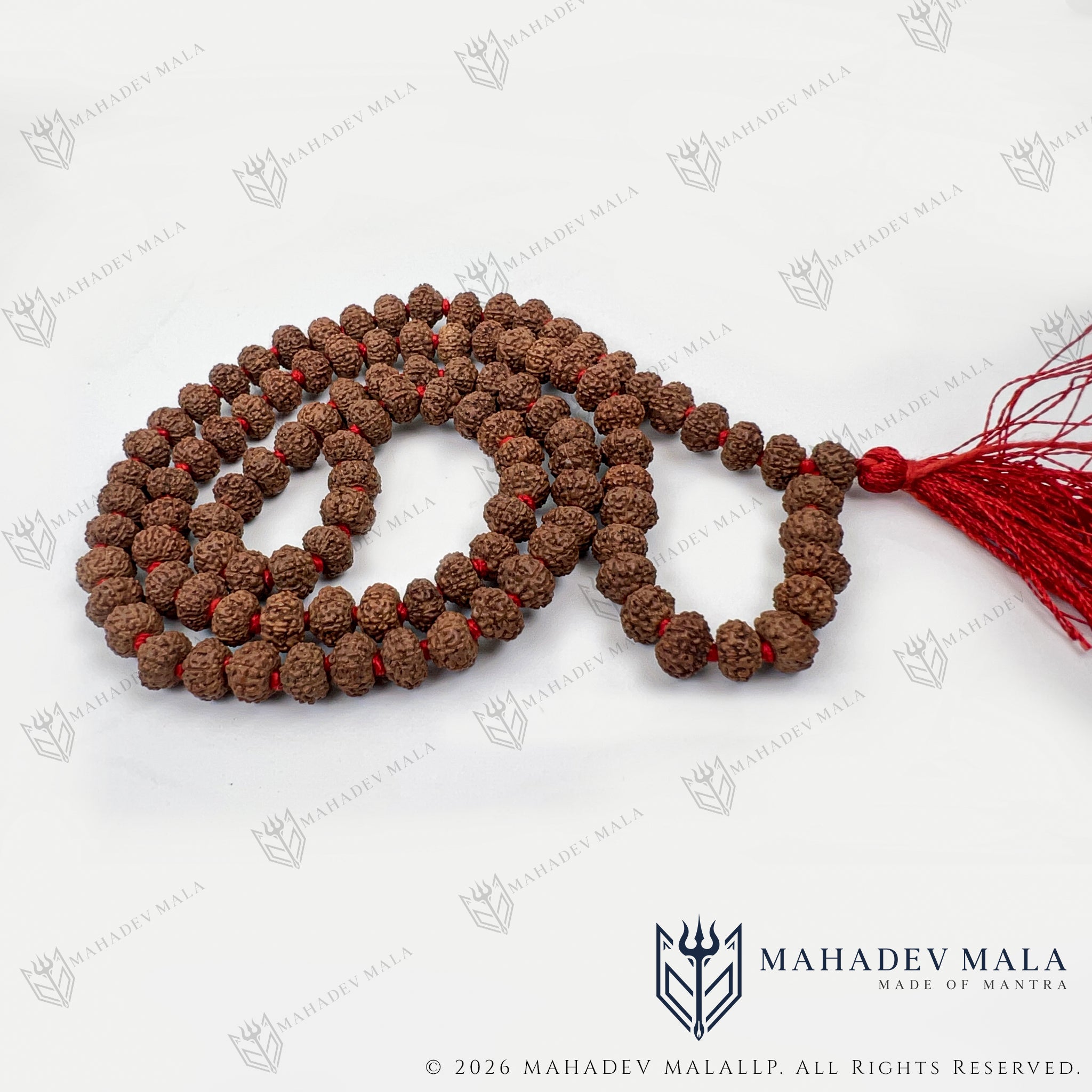 Additional coiled view of natural Indonesian 8 Mukhi Rudraksha Japa Mala
