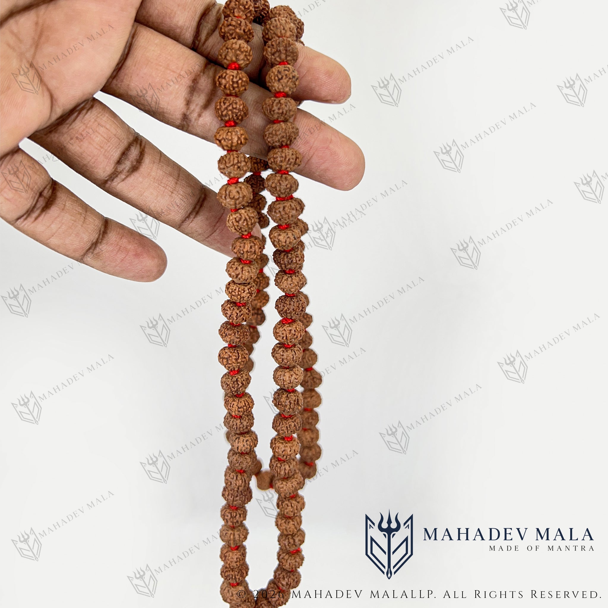 Indonesian 8 Mukhi Rudraksha Japa Mala held to show its bead length