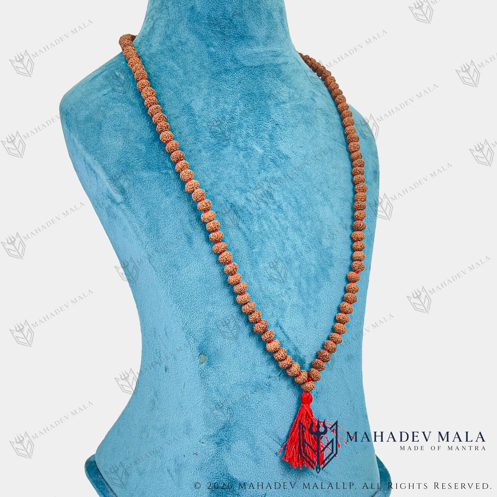 Indonesian 8 Mukhi Rudraksha Japa Mala displayed as a long necklace