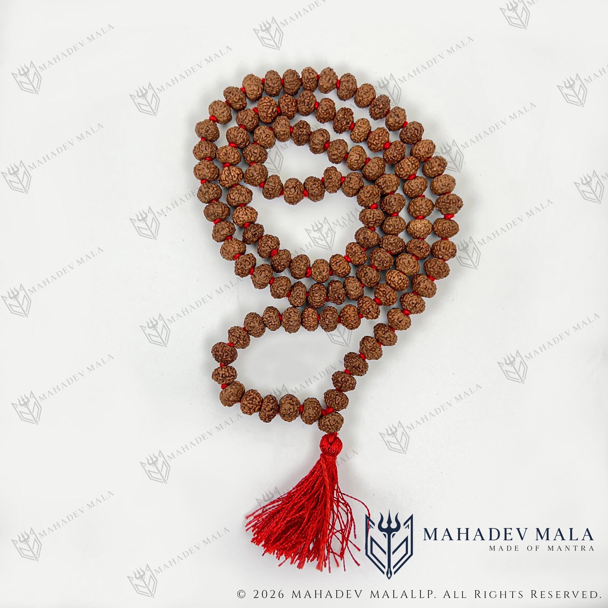 Indonesian 8 Mukhi Rudraksha Japa Mala showing its red tassel