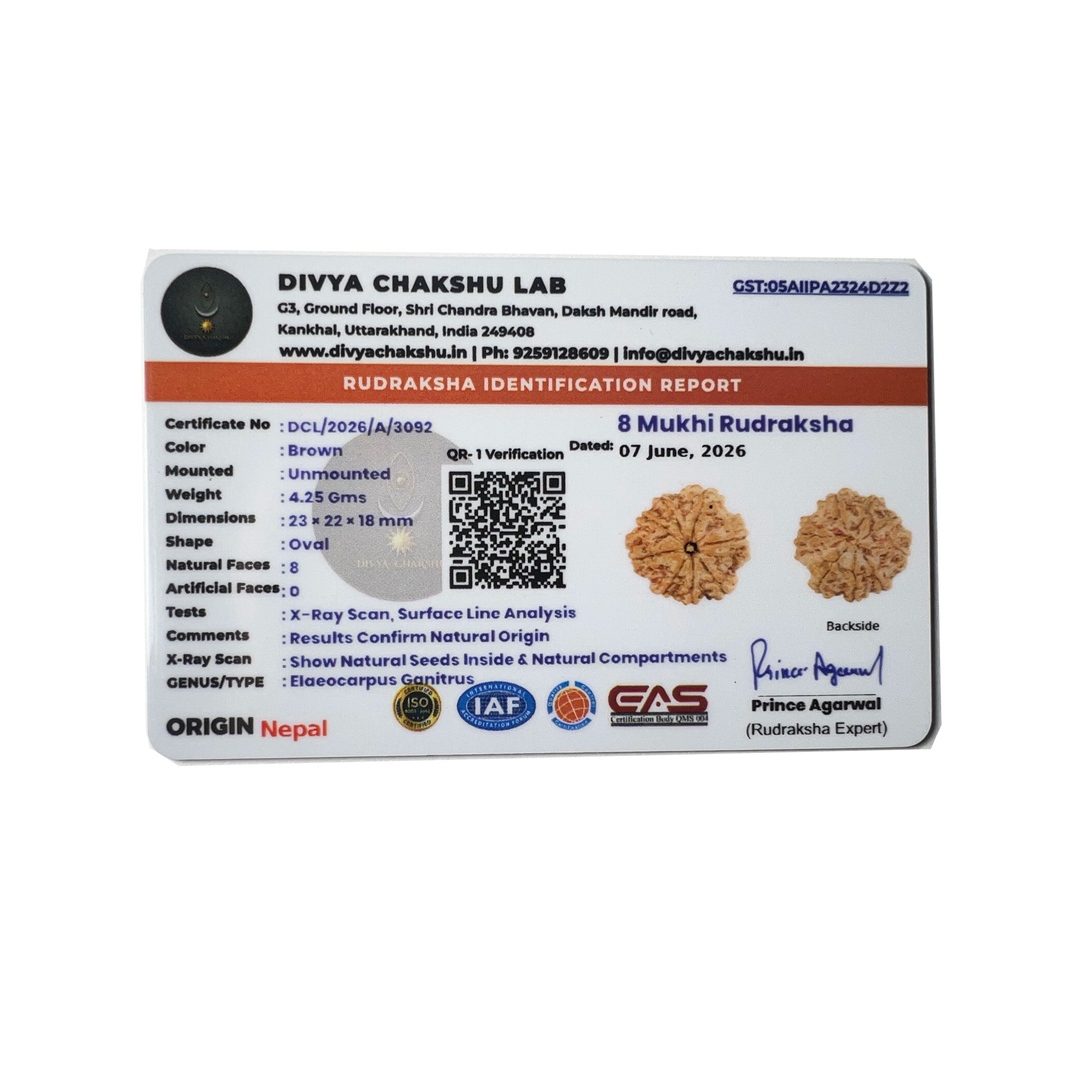 Lab certificate for natural Nepali 8 Mukhi Rudraksha bead