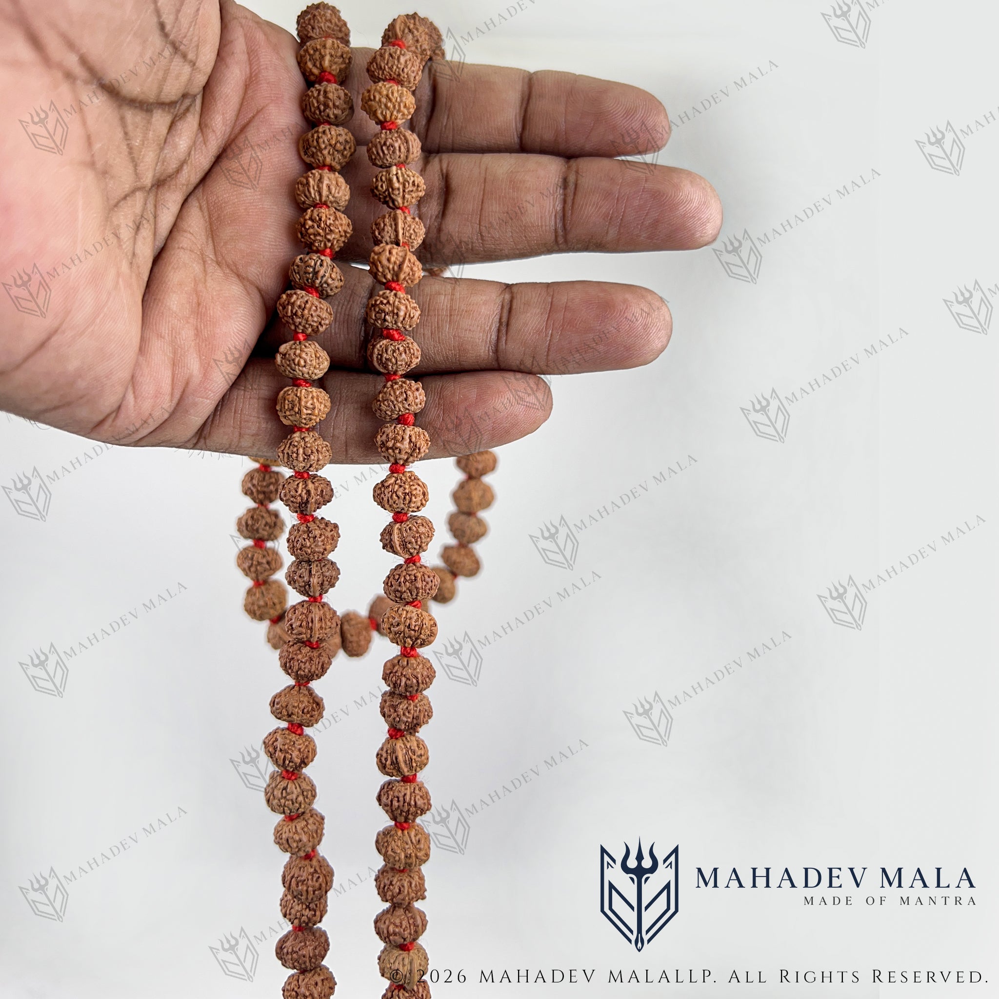9 Mukhi Ganesh Rudraksha Japa Mala held to show its bead length