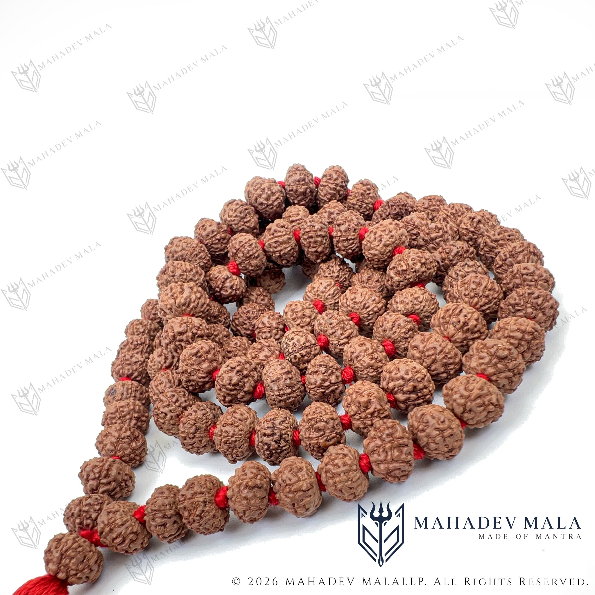 Coiled Indonesian 9 Mukhi Rudraksha Japa Mala with red tassel