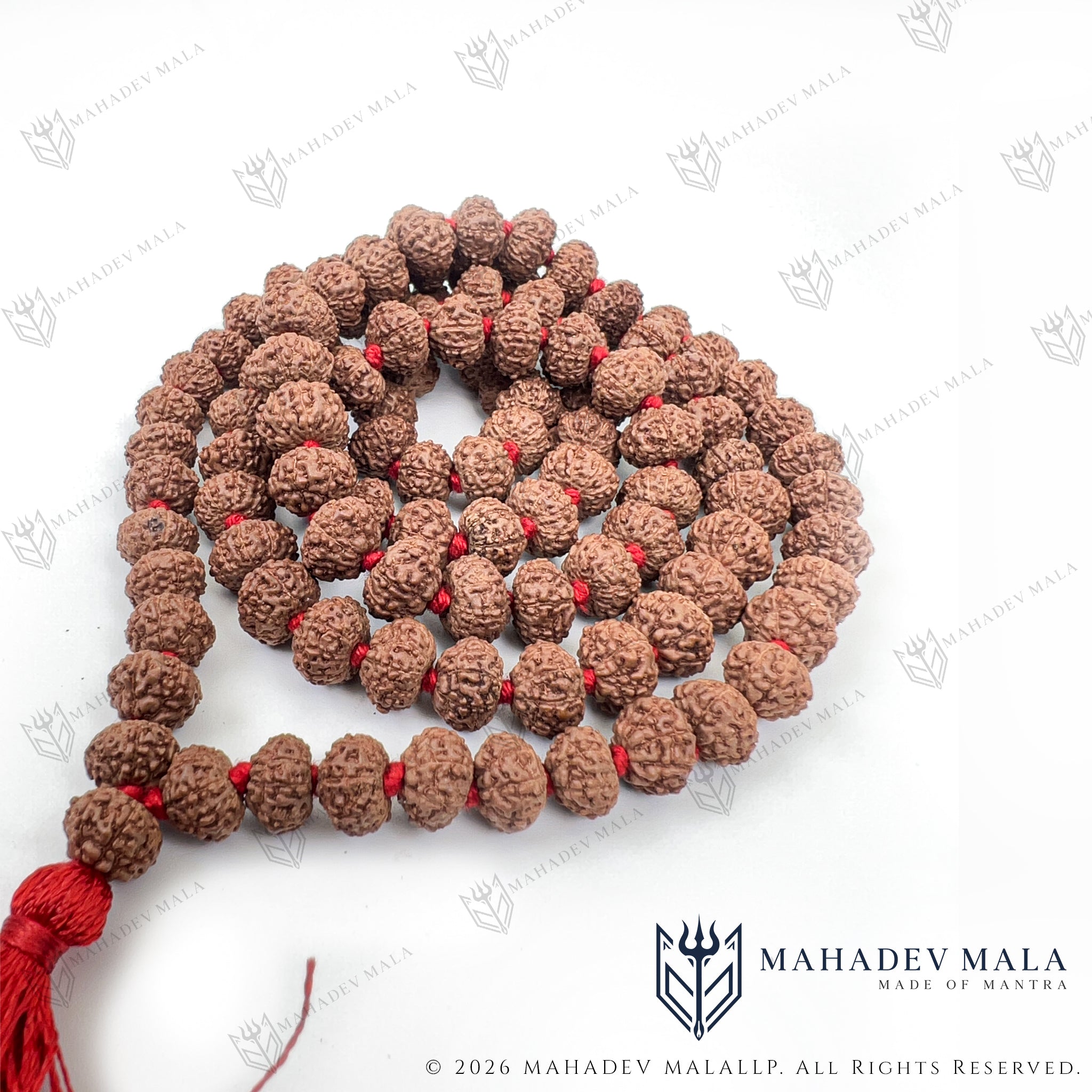 Alternate coiled view of Indonesian 9 Mukhi Rudraksha Japa Mala