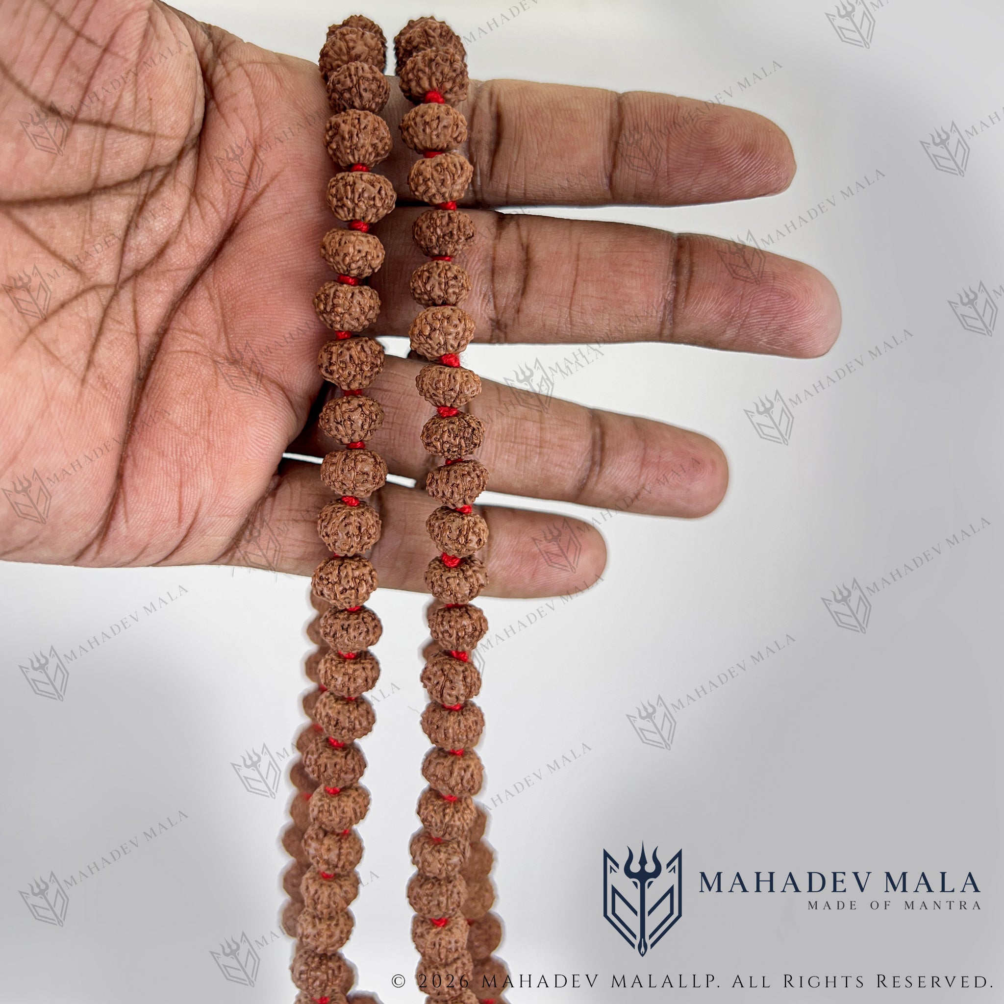 Indonesian 9 Mukhi Rudraksha Japa Mala held to show its bead length