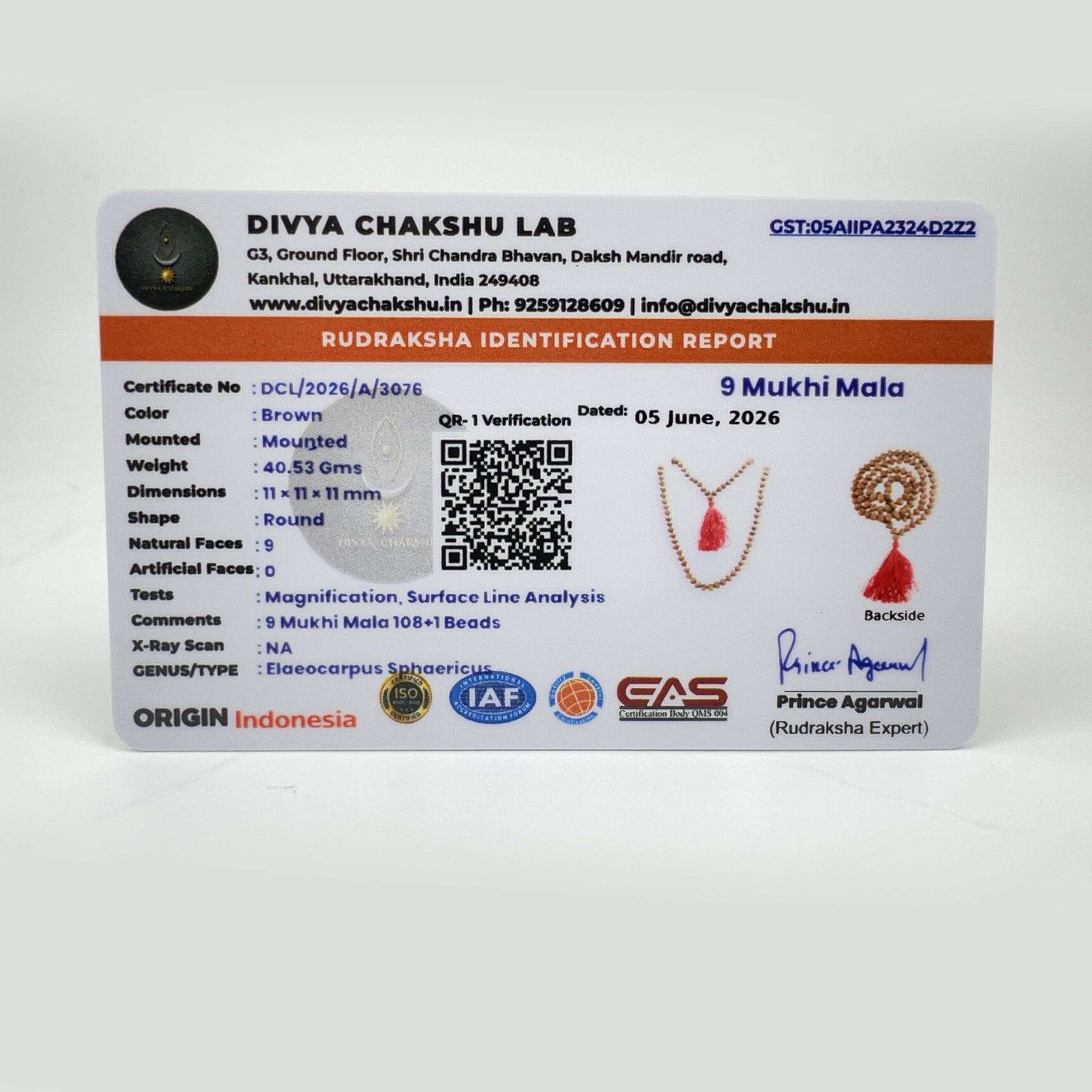 Lab certificate for Indonesian 9 Mukhi Rudraksha Japa Mala