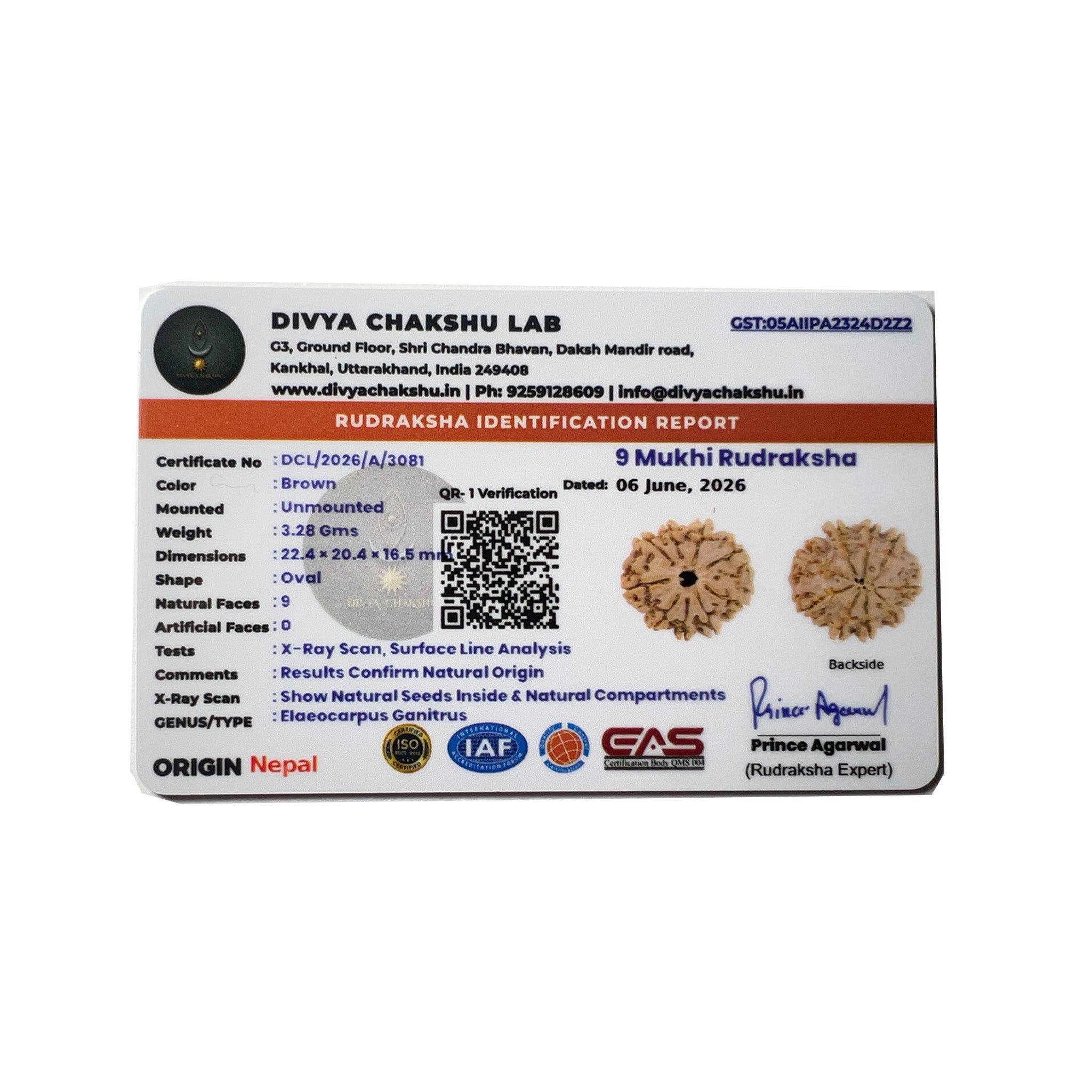 Lab certificate for natural Nepali 9 Mukhi Rudraksha bead