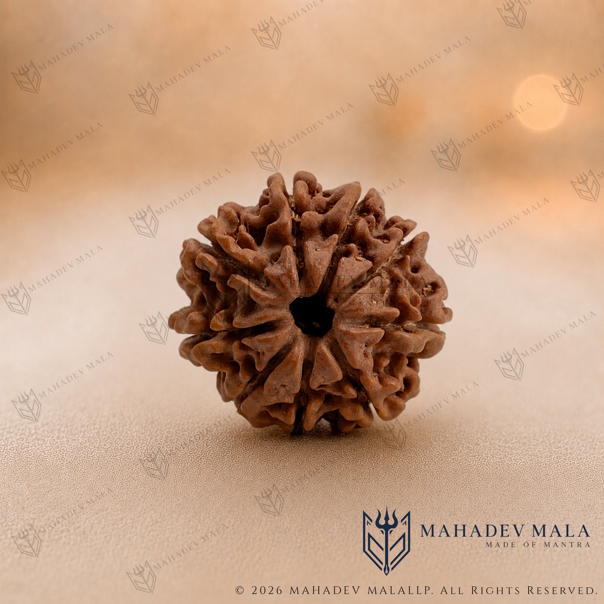 Natural Nepali 9 Mukhi Rudraksha bead on a warm beige background