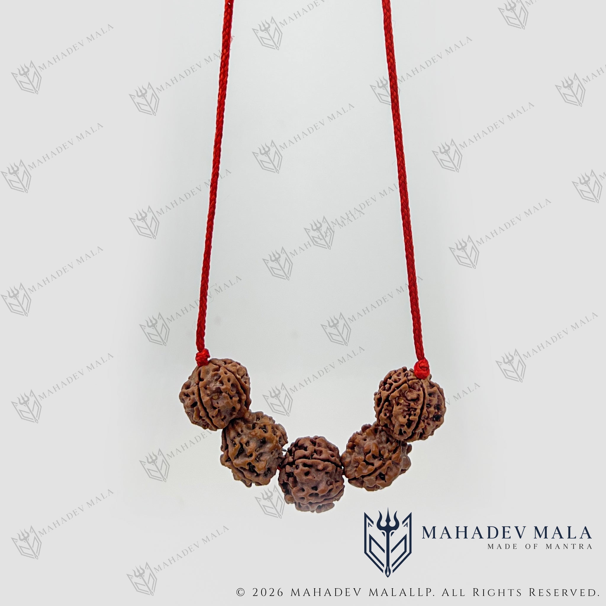 Full view of Arogya Raksha Kavach handcrafted on sacred red thread
