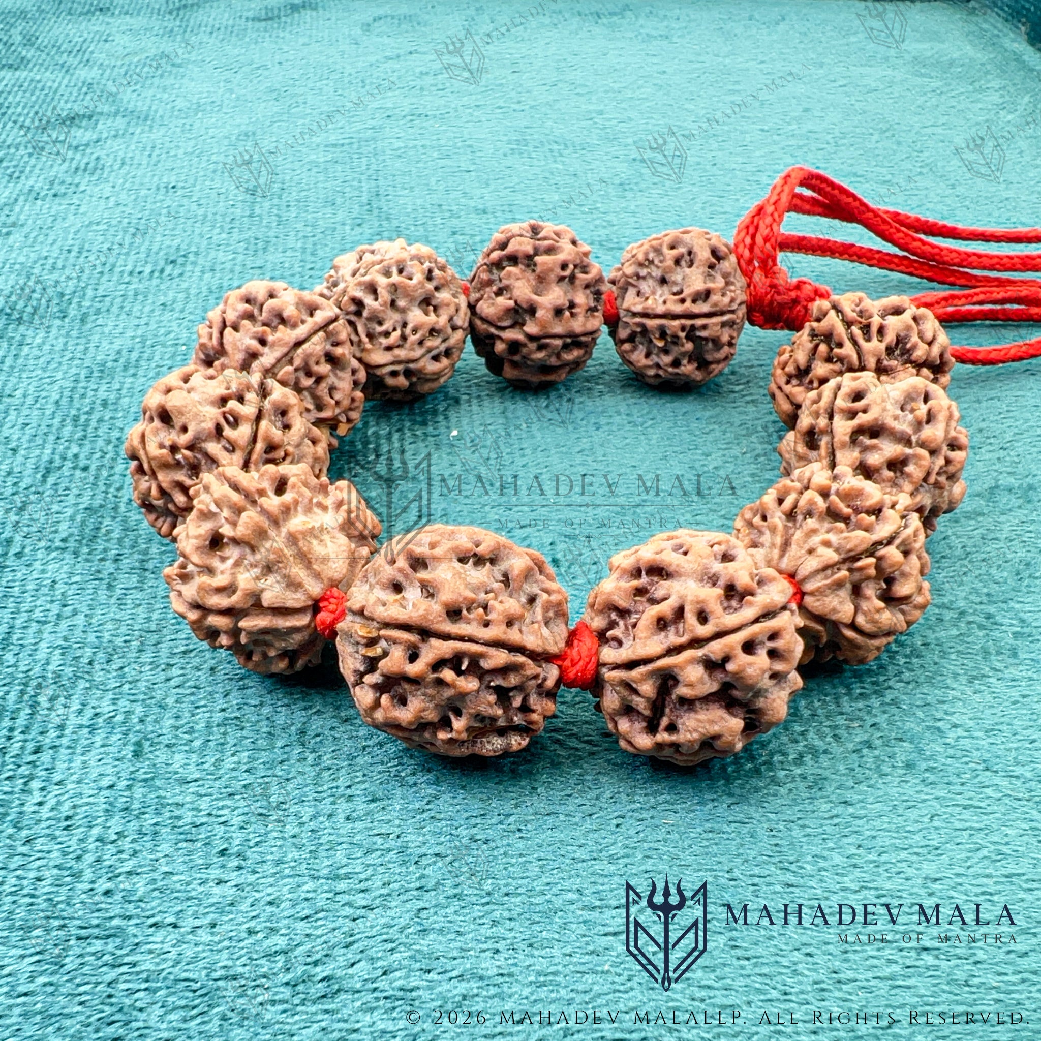 Natural 5 Mukhi Rudraksha Bracelet – Certified Nepali Rudraksha