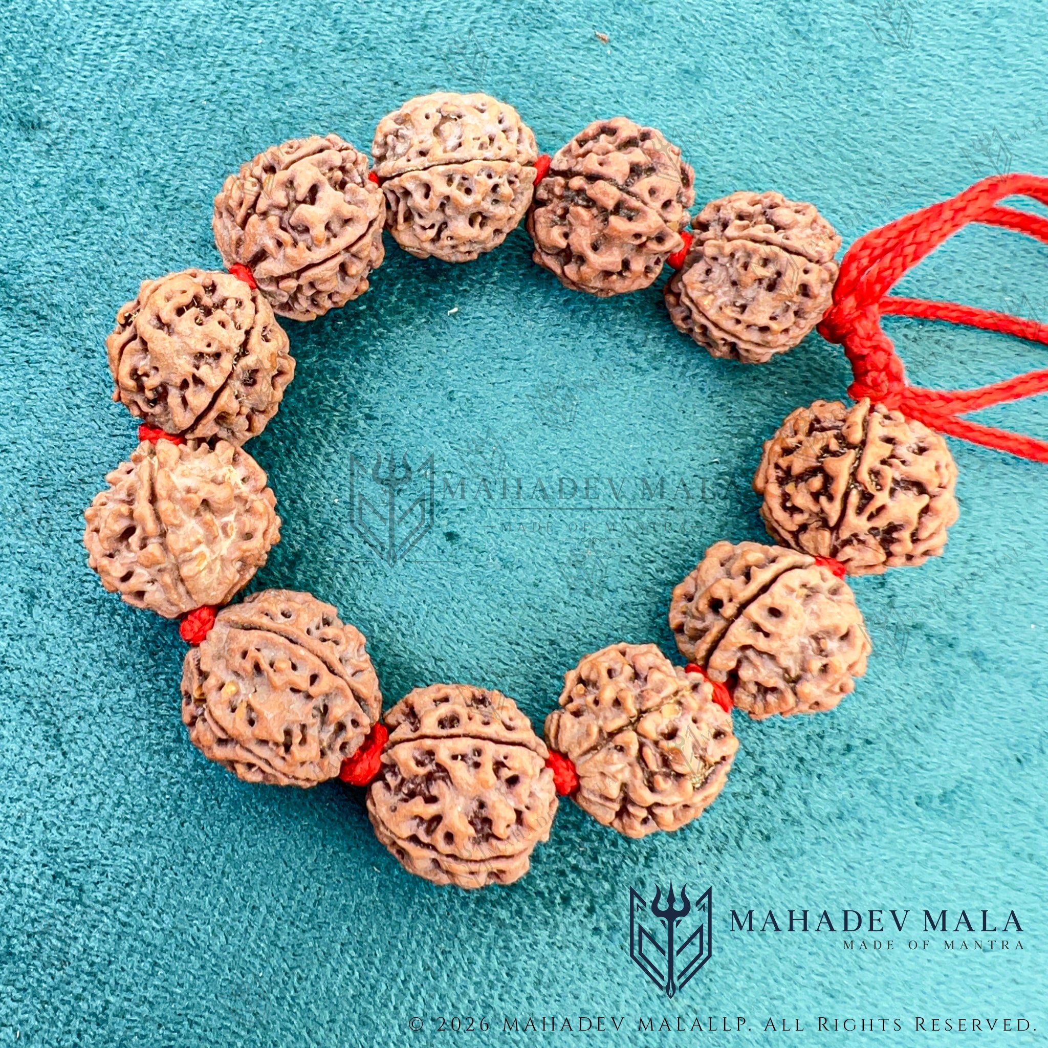 Natural 5 Mukhi Rudraksha Bracelet – Certified Nepali Rudraksha