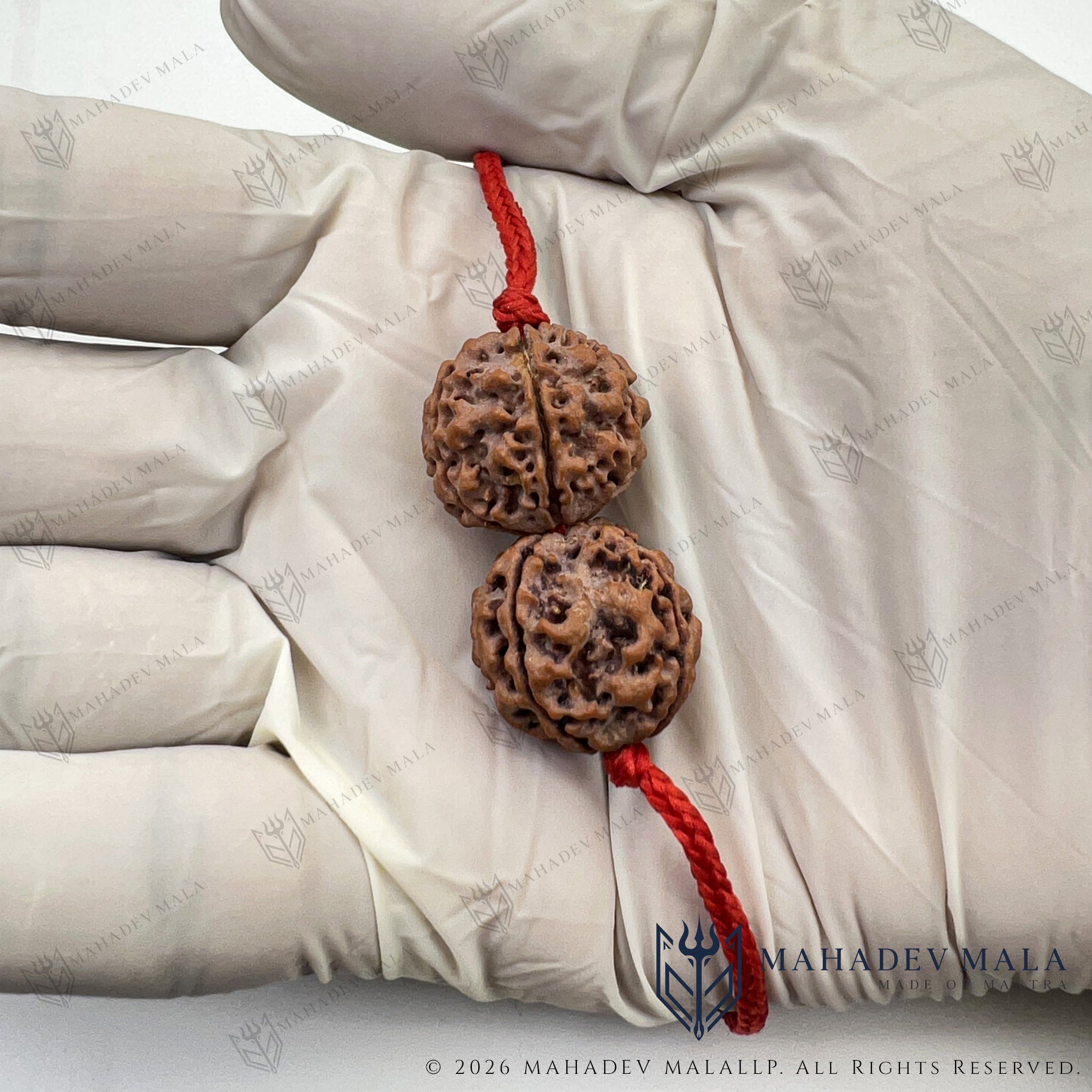 Budh Guru Kavach with 4 and 5 Mukhi Rudraksha held in hand