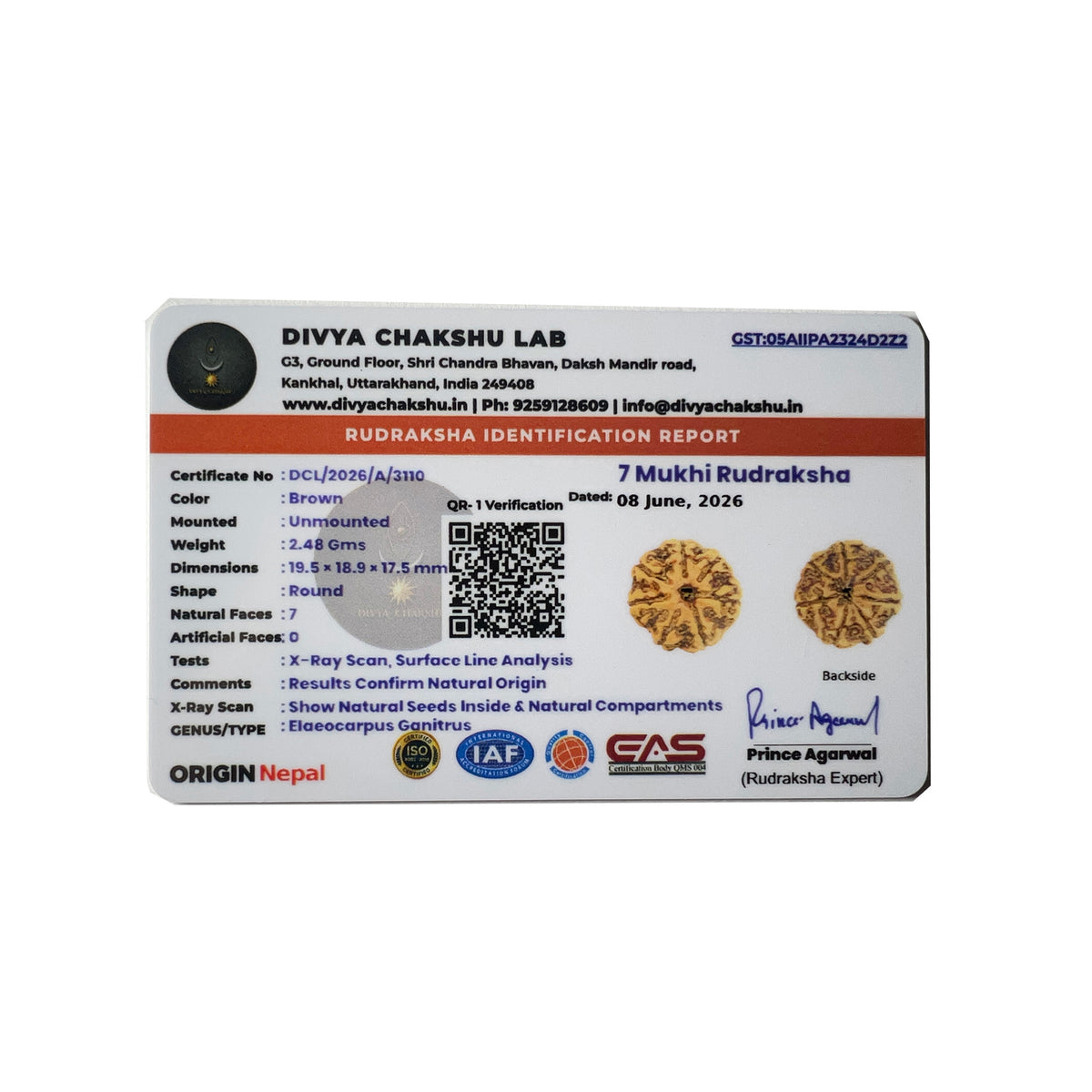 Lab certificate for natural Nepali 7 Mukhi Rudraksha bead