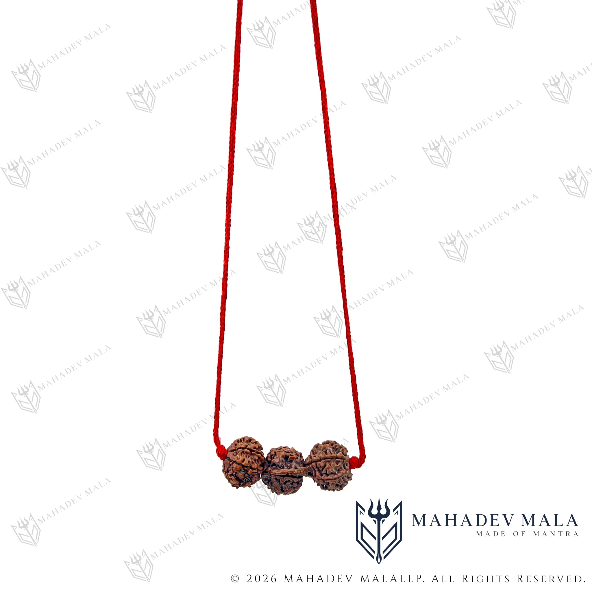 Full view of Dhan Laxmi Ganesh Kavach handcrafted on sacred red thread
