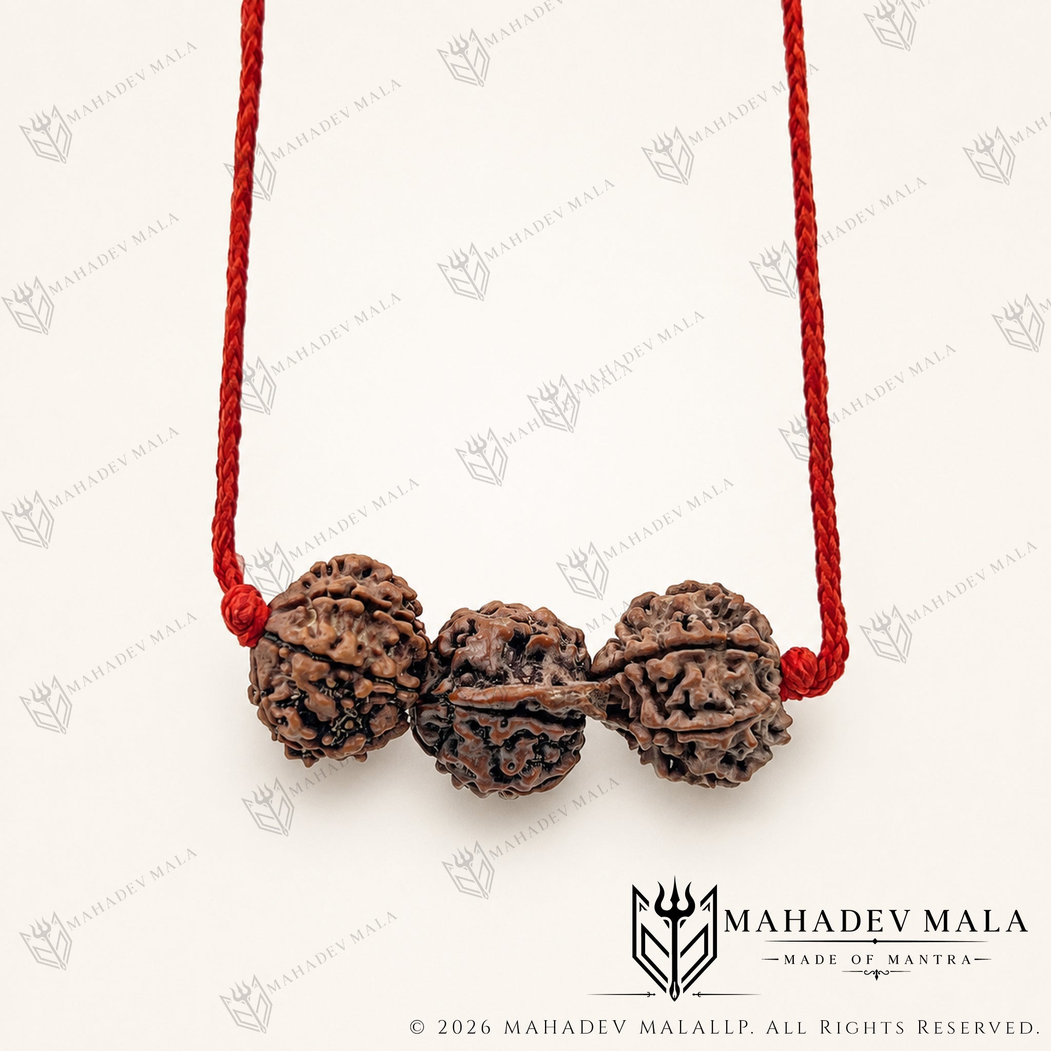 Dhan Laxmi Ganesh Kavach with two 7 Mukhi and one Ganesh Rudraksha