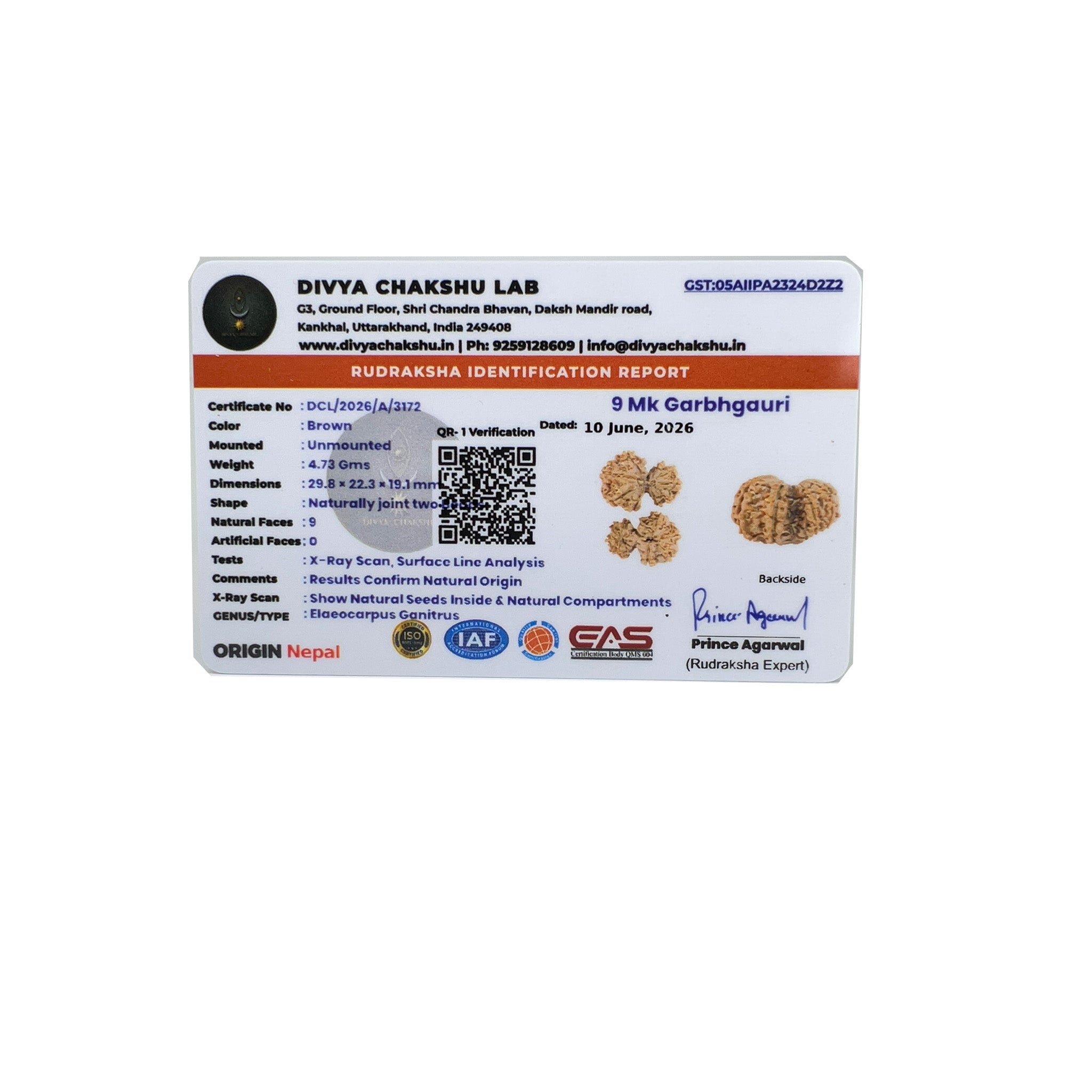 Lab certificate for natural Nepali Garbh Gauri Rudraksha