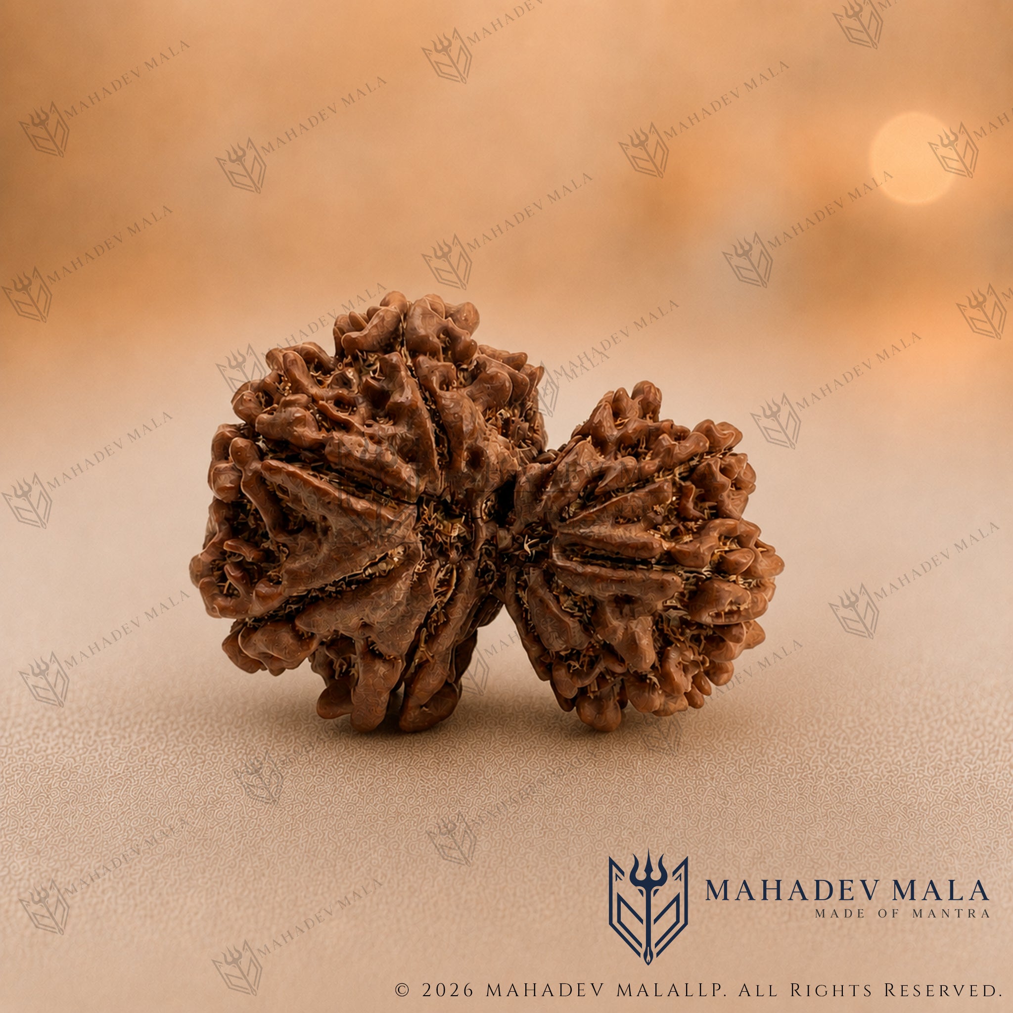 Natural Nepali Garbh Gauri Rudraksha on a warm beige background
