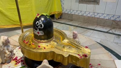 Traditional Vedic Rudra Abhishek ritual shown in Mahadev Mala's Rudraksha energization video