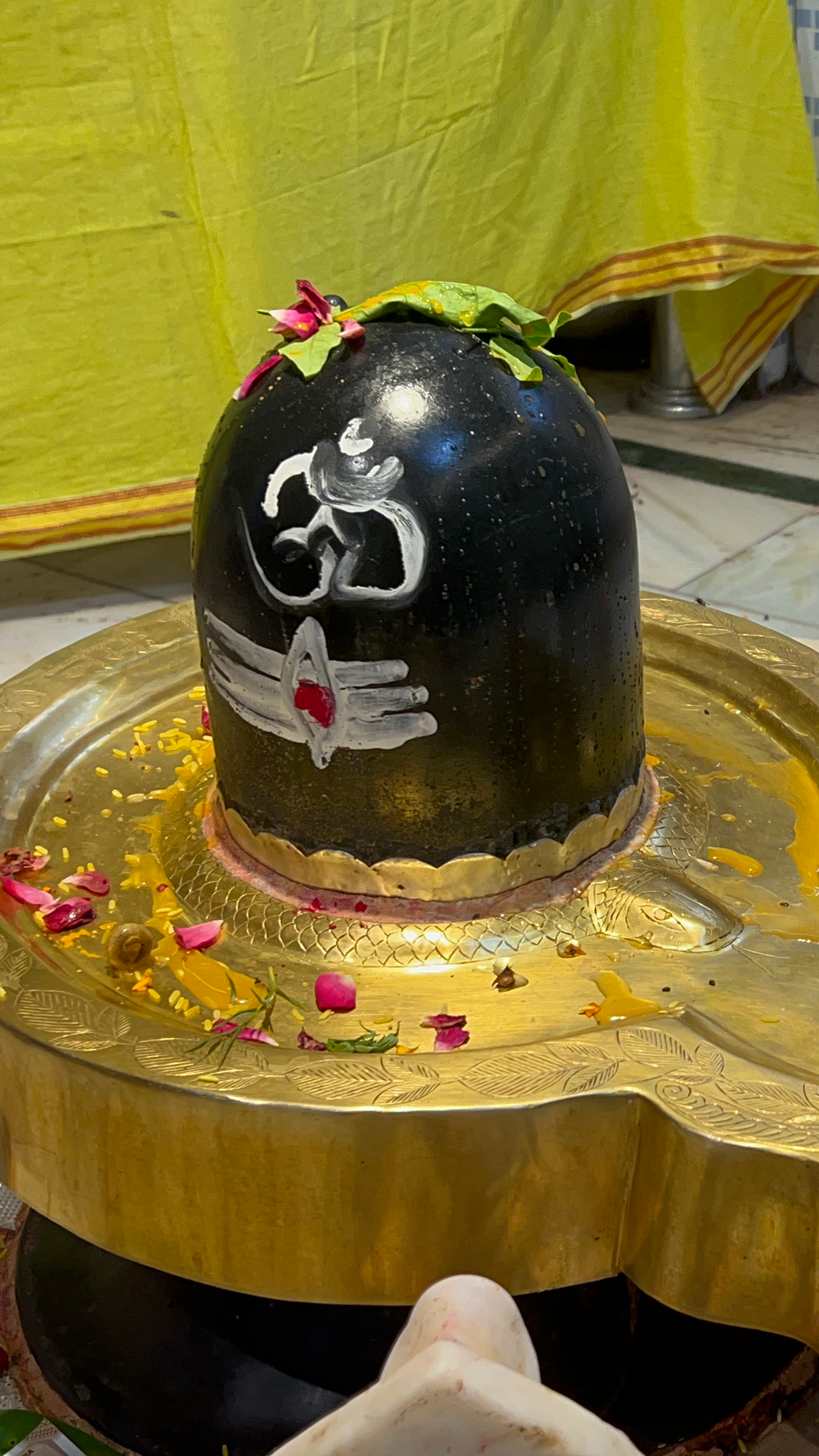 Traditional Vedic Rudra Abhishek ritual shown in Mahadev Mala's Rudraksha energization video