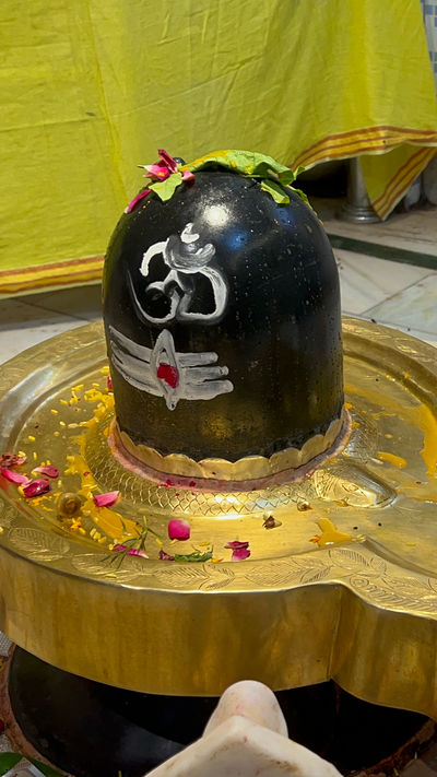 Traditional Vedic Rudra Abhishek ritual shown in Mahadev Mala's Rudraksha energization video