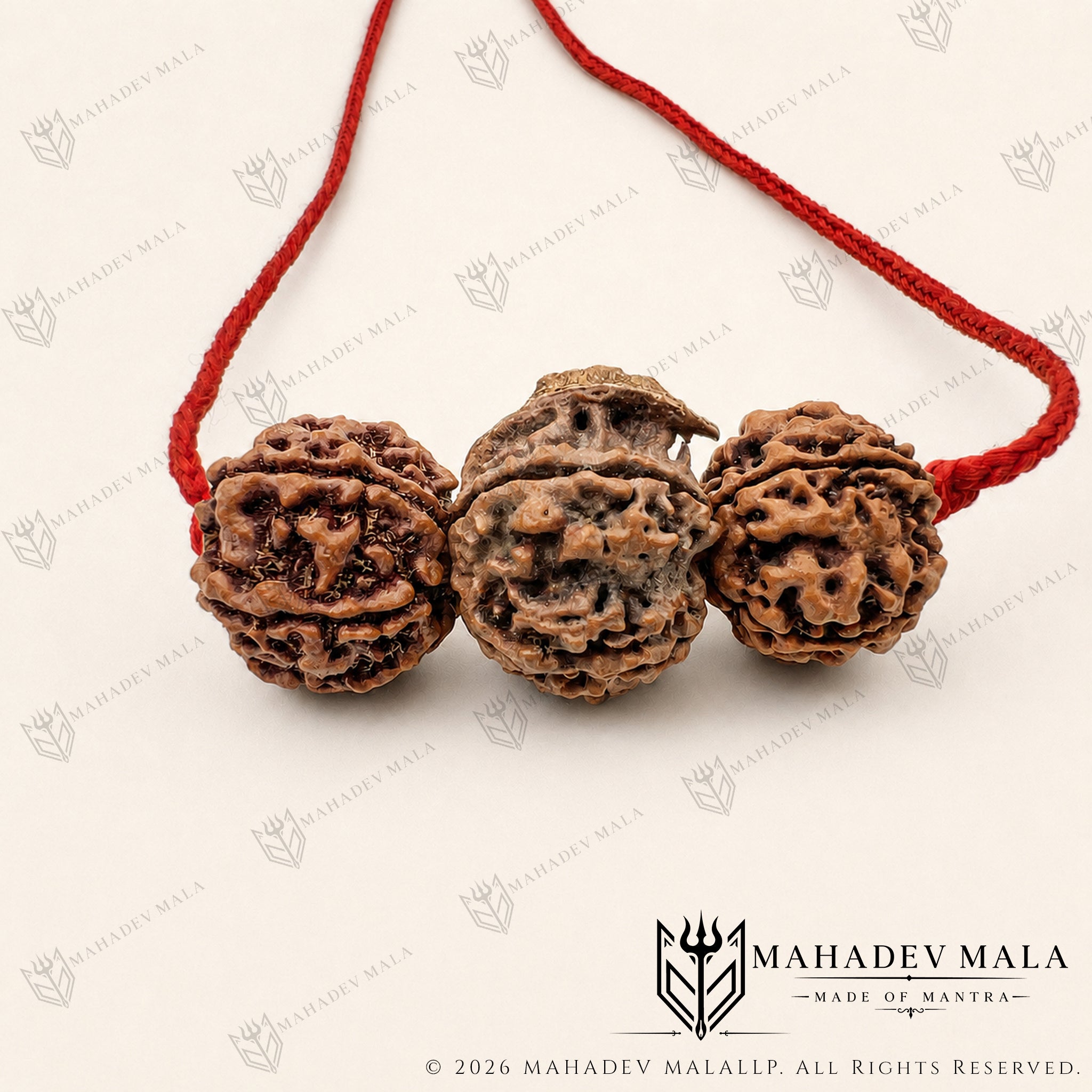 Saraswati Gyaan Kavach with natural 4 Mukhi, 6 Mukhi and Ganesh Rudraksha