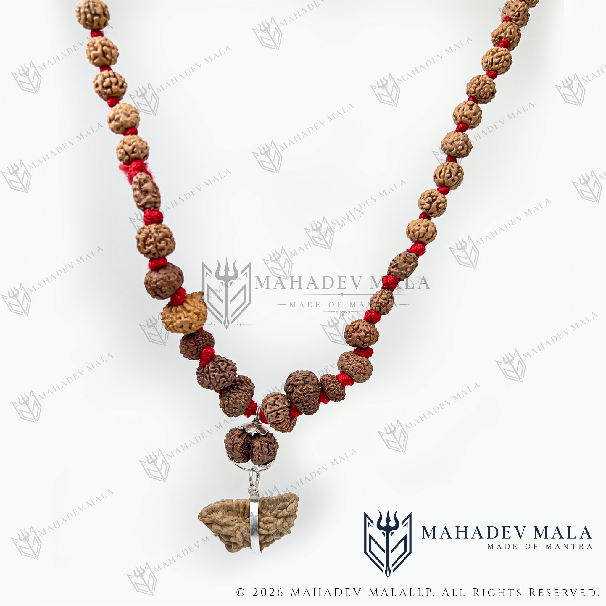 Full-length view of Siddha Mala handcrafted with 1 to 14 Mukhi Rudraksha