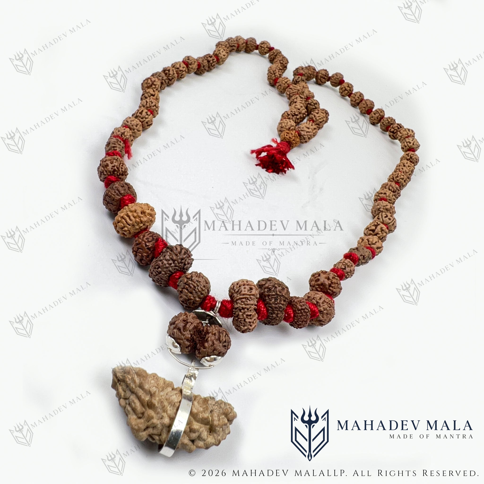 Siddha Mala arranged flat showing its 1 to 14 Mukhi Rudraksha combination