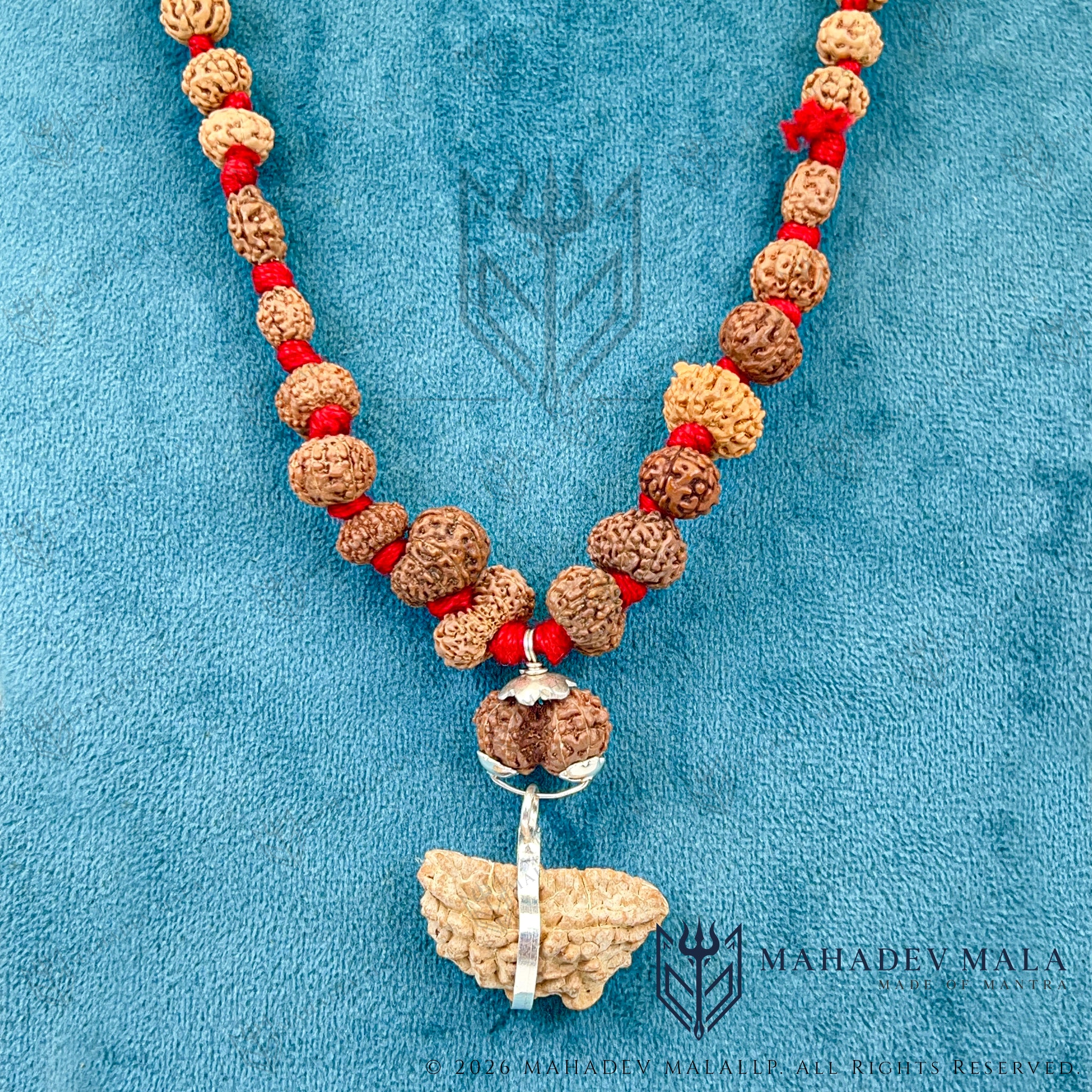Siddha Mala with 1 to 14 Mukhi Indonesian Rudraksha displayed as a necklace